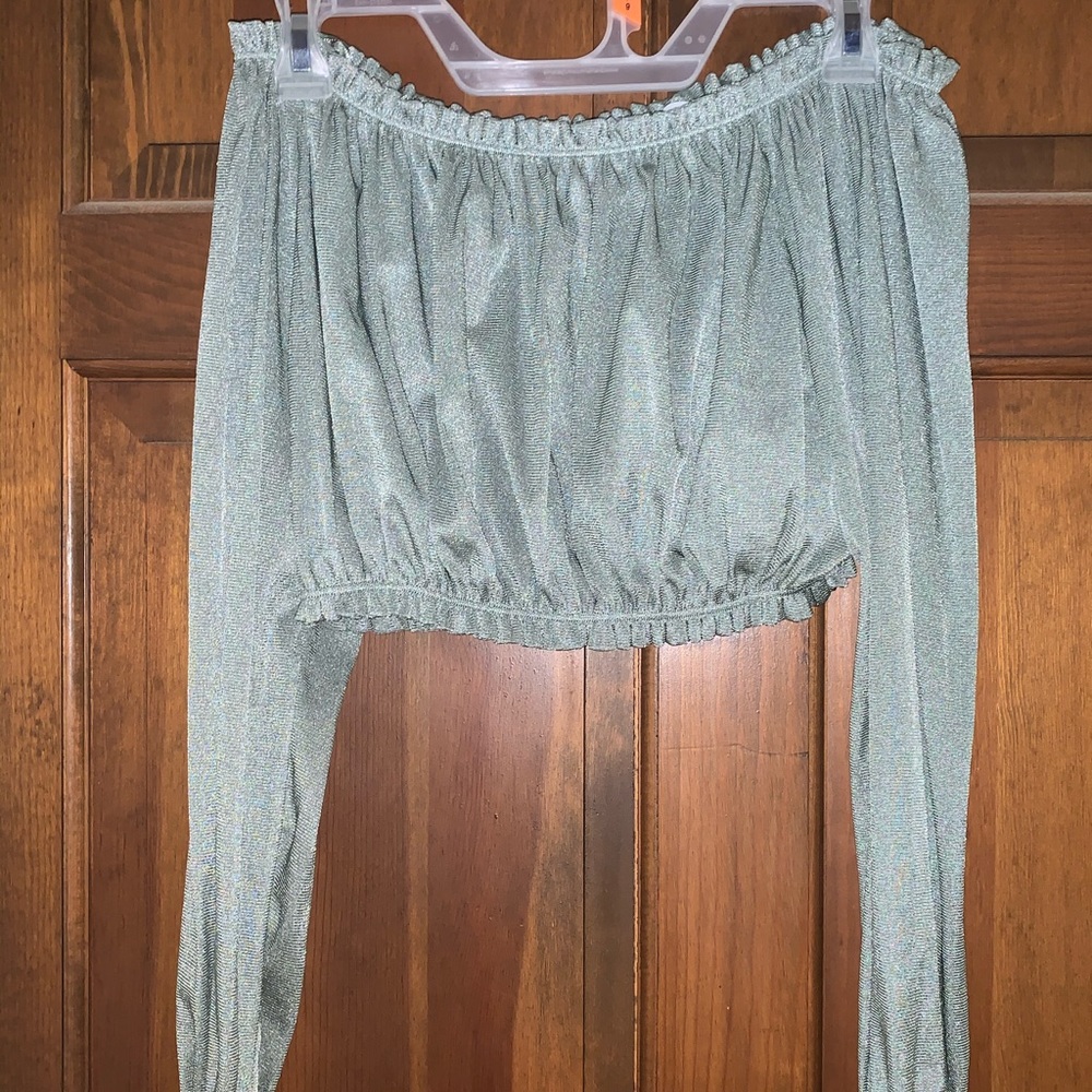 Zara Crop Top, long sleeved scrunched shirt